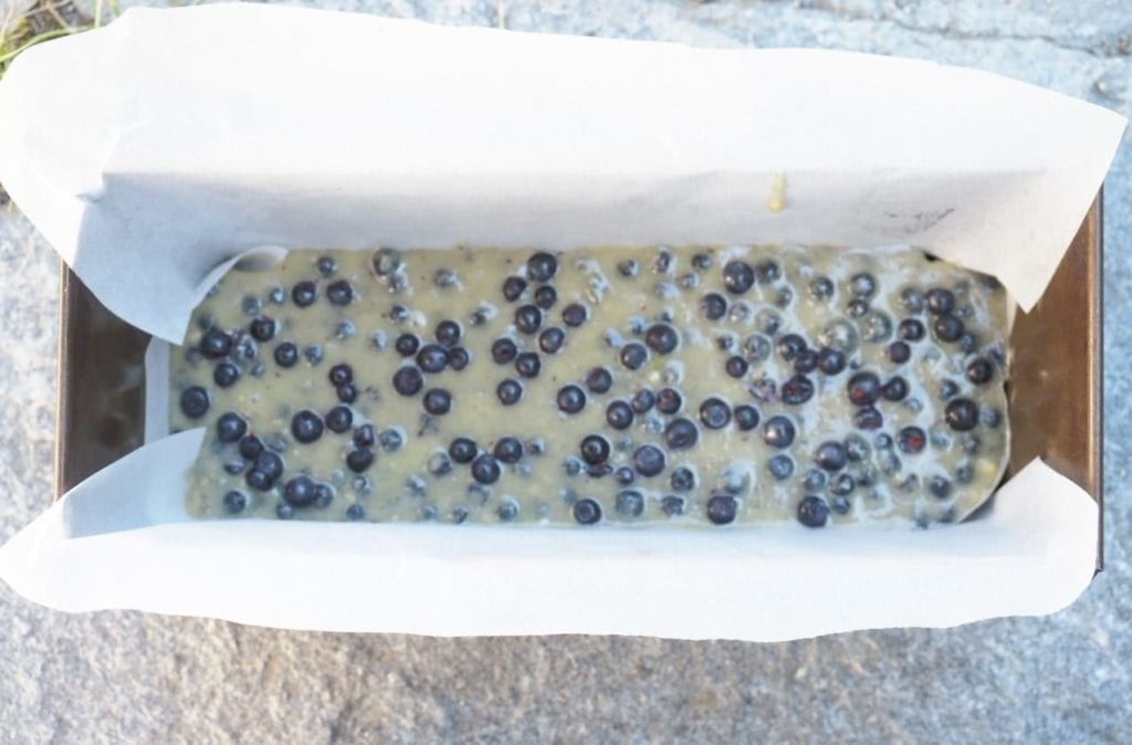 financier géant aux myrtilles