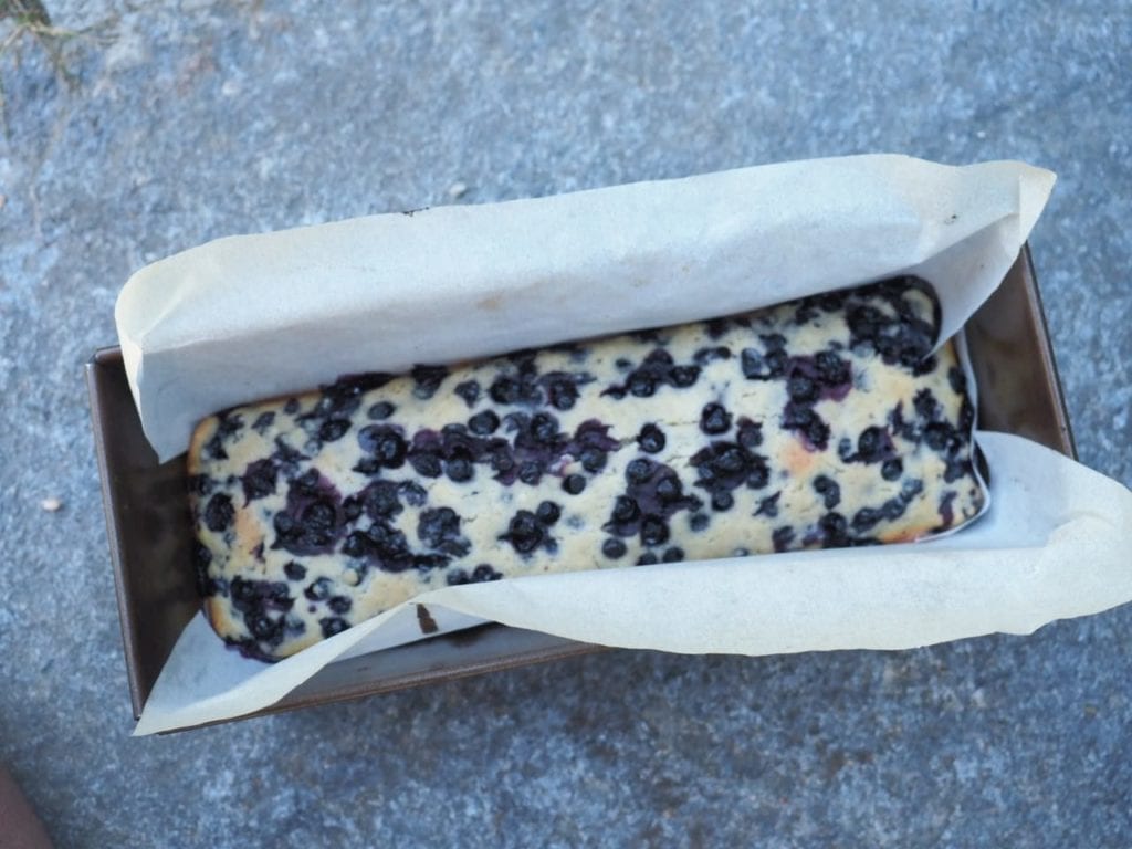 financier géant aux myrtilles