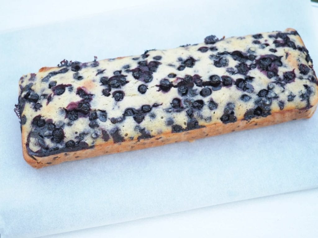 financier géant aux myrtilles