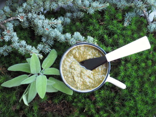 pesto de sauge maison