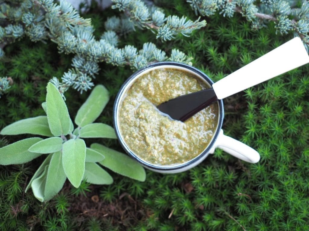 pesto de sauge