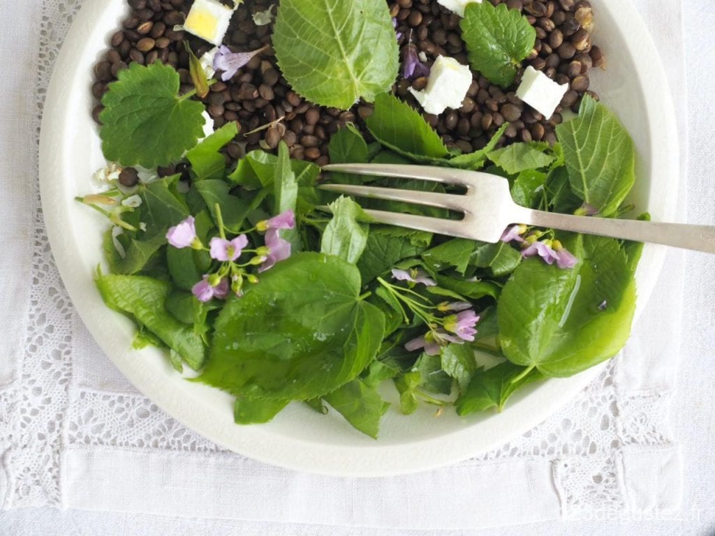 salade de feuilles de tilleul
