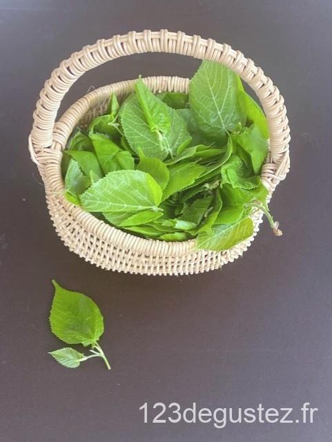 salade de feuilles de tilleul