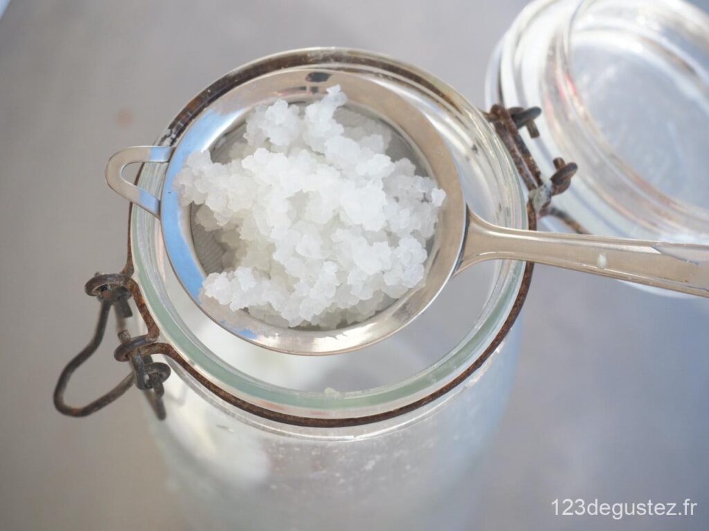 grains de kéfir de fruit