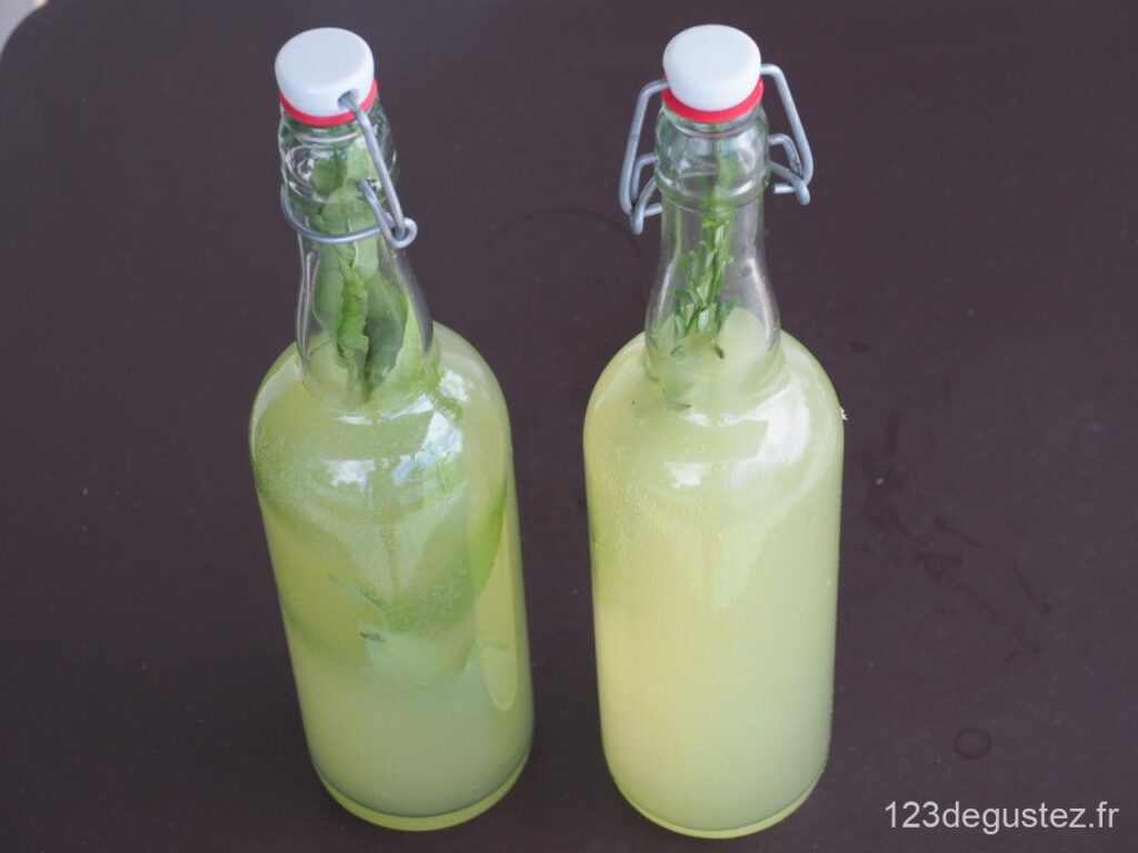 kéfir de fruit aux herbes