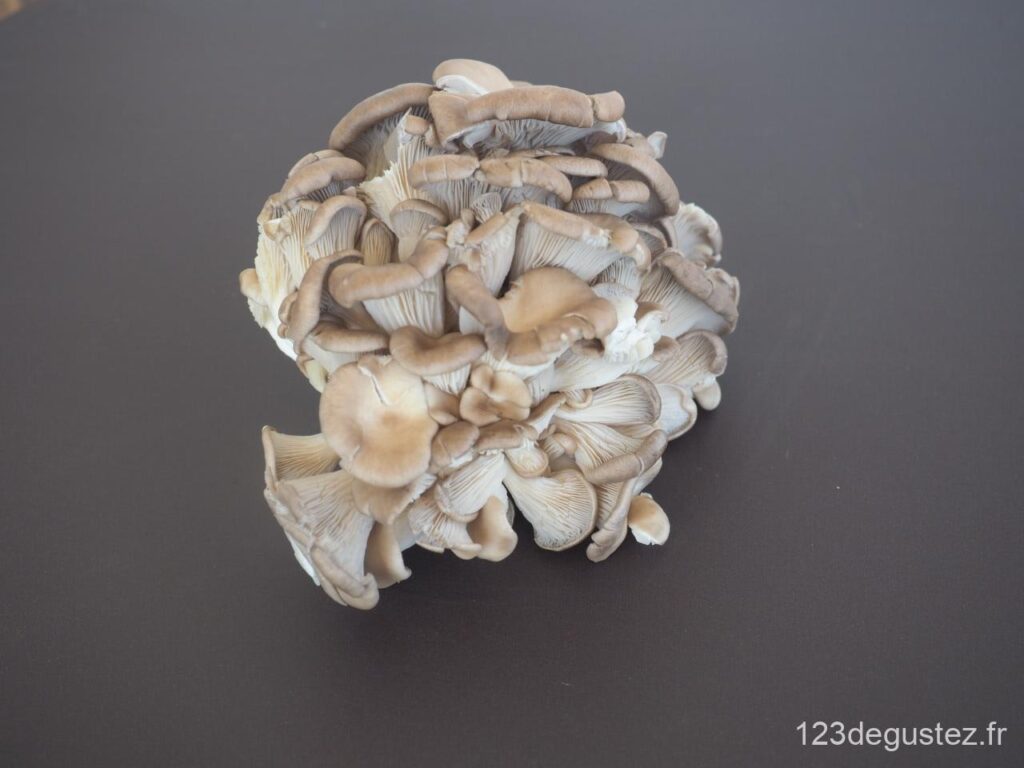 pleurotes en papillote