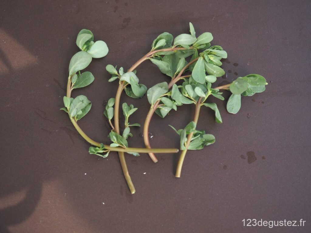 salade composée au pourpier