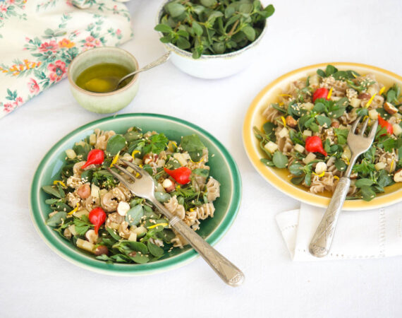 salade composée au pourpier
