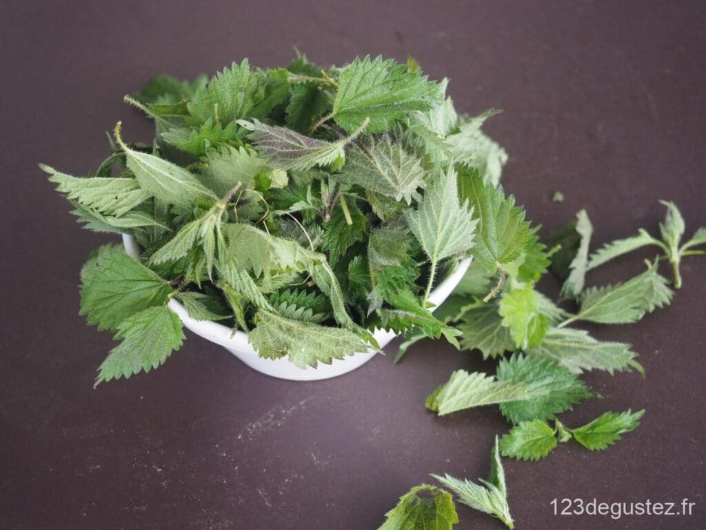 recette aux orties