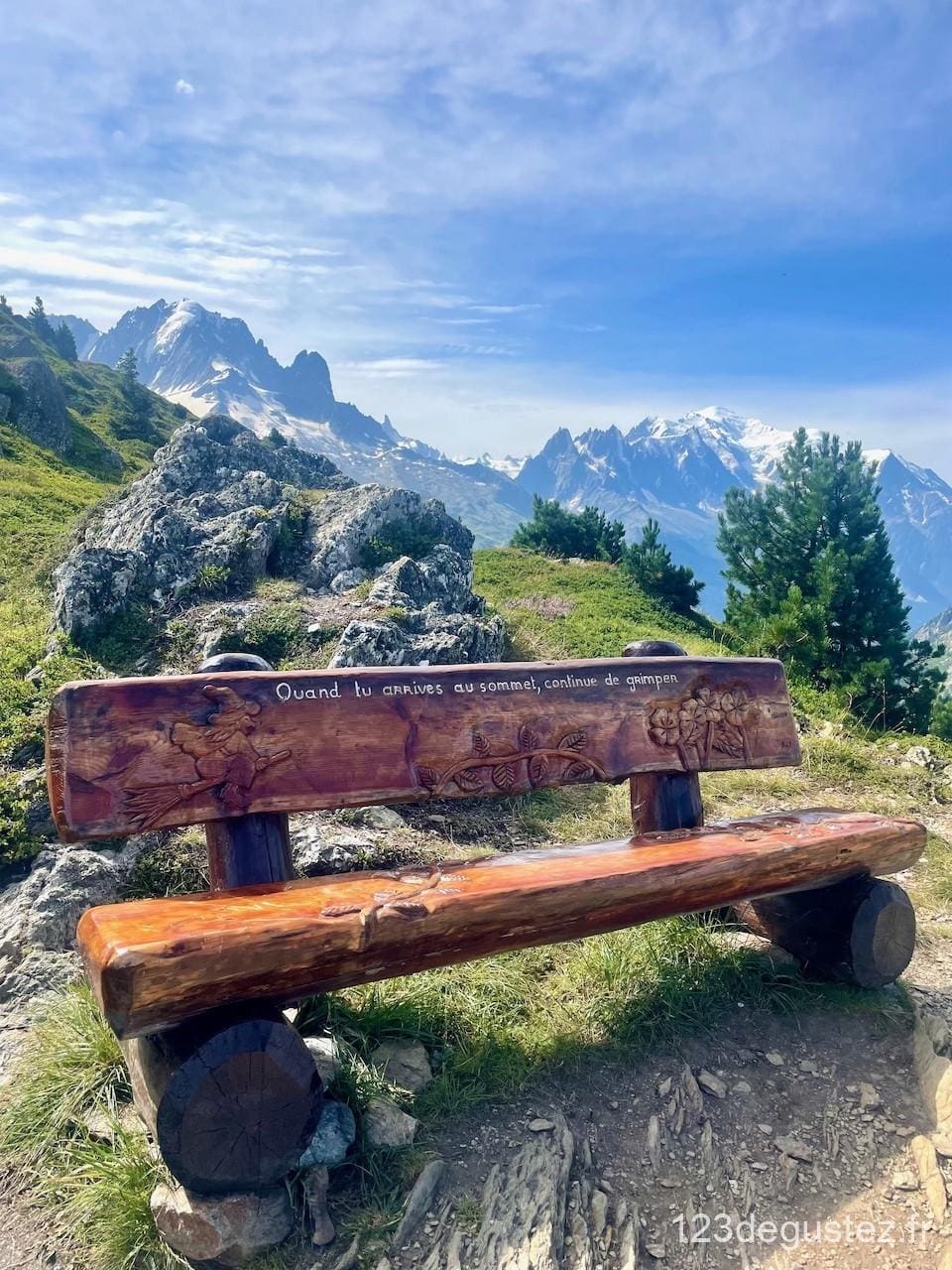 tarte aux myrtilles sauvages