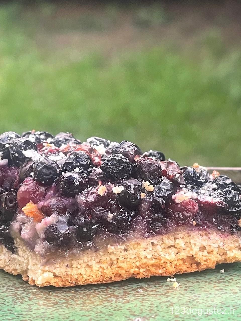 tarte aux myrtilles sauvages