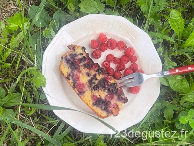 gâteau moelleux au yaourt et fruits des bois