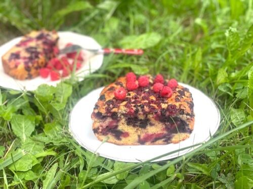 gâteau moelleux au yaourt et fruits des bois
