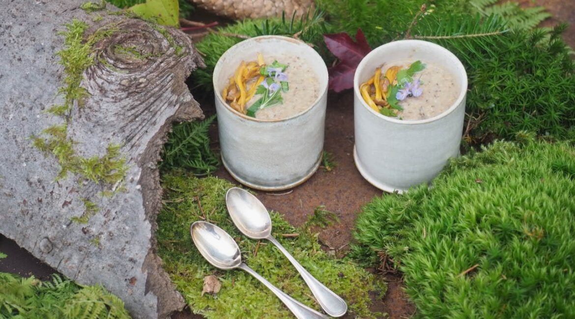 Soupe de champignons sauvages