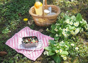 Salade de lentilles, épinards et truite fumée 