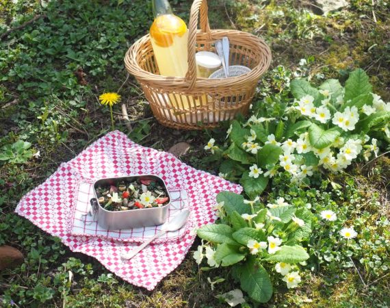 salade de lentilles épinards et truite